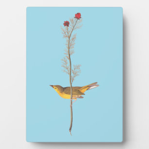 Audubons Hooded Warbler Bird auf der Roten Blume Fotoplatte