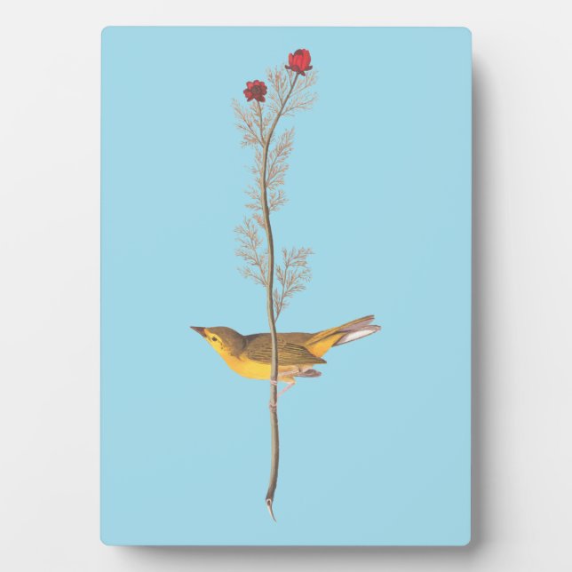 Audubons Hooded Warbler Bird auf der Roten Blume Fotoplatte (Vorderseite)
