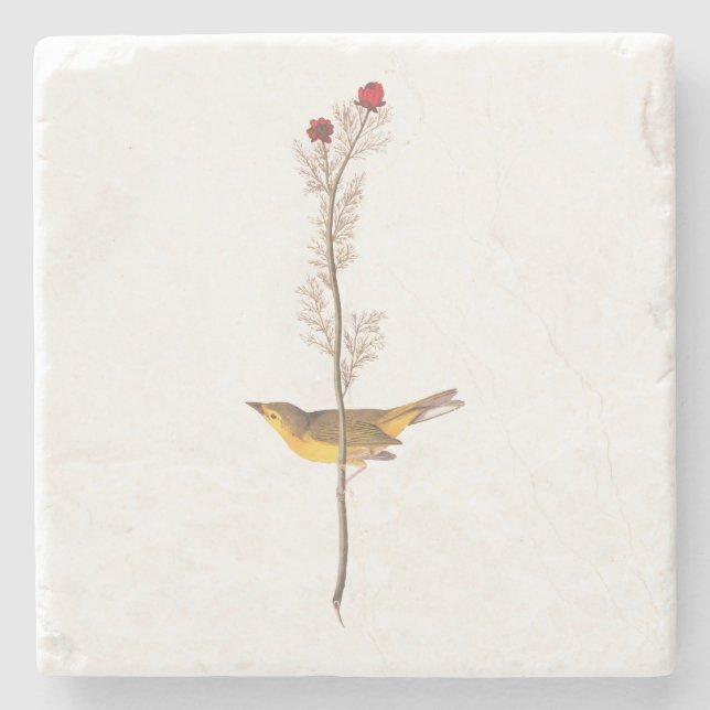Audubons Hooded Warbler Bird auf der Roten Blume Steinuntersetzer (Vorderseite)