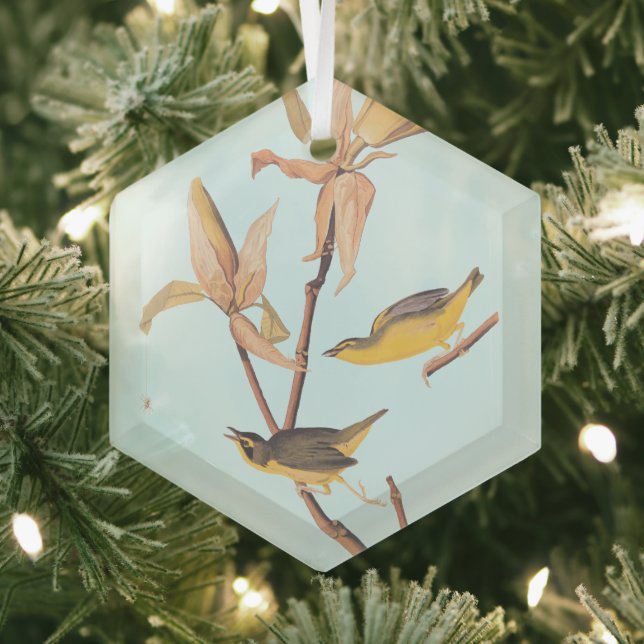 Audubons Kentucky-Warbler-Vogelparadies mit einer  Ornament Aus Glas (Insitu)