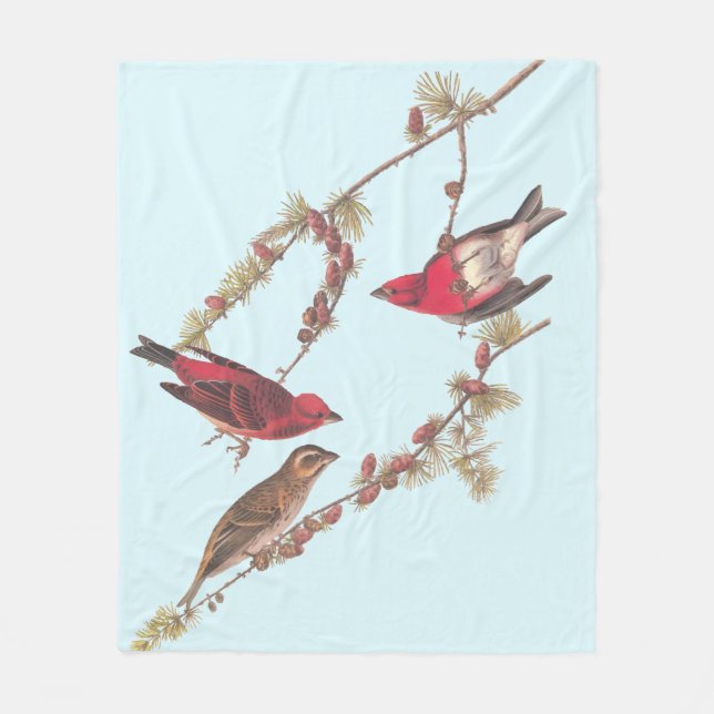 Audubons Lila Finch Drei Rote Vögel im Winter Fleecedecke (Vorderseite)