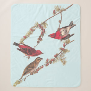 Audubons Lila Finch Drei Rote Vögel im Winter Sherpadecke