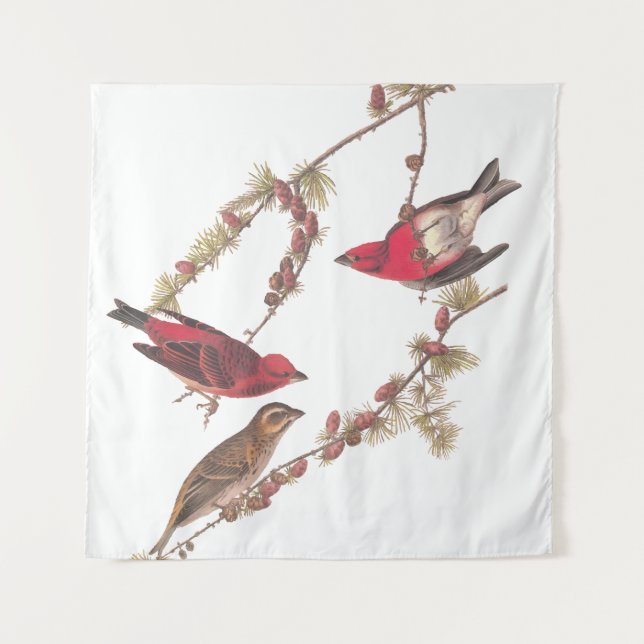 Audubons Lila Finch Drei Rote Vögel im Winter Wandteppich (Vorderseite)