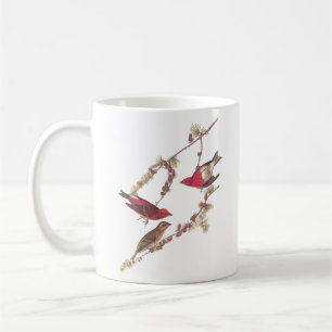 Audubons Lila Finch-Rote Vögel auf Conifer Tree Kaffeetasse