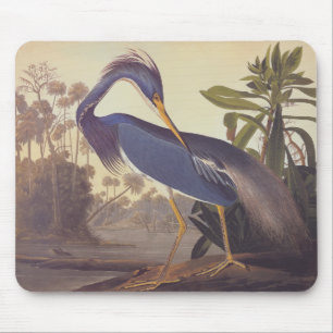 Audubon's Louisiana Heron oder Trikolore Heron Mousepad