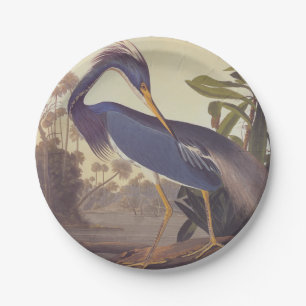 Audubon's Louisiana Heron oder Trikolore Heron Pappteller
