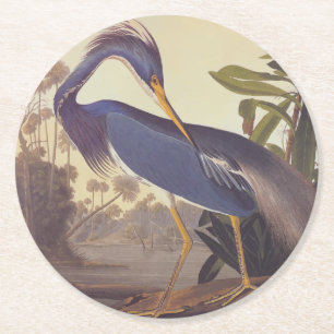 Audubon's Louisiana Heron oder Trikolore Heron Runder Pappuntersetzer