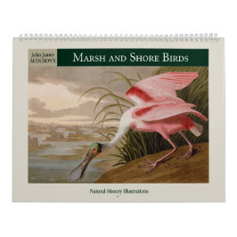 Audubon's Marsh and Shore Birds 2026 Kalender