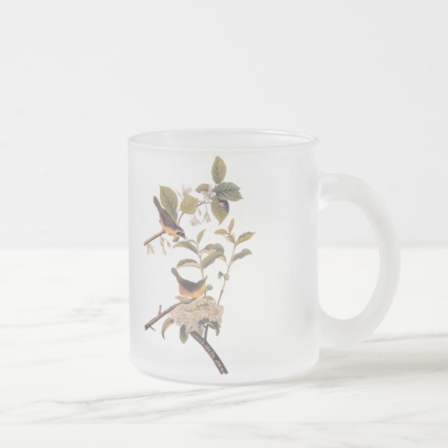 Audubon's Maryland Yellowthroat Vögel mit Blume Mattglastasse (Rechts)