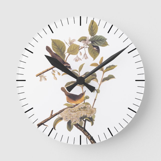 Audubon's Maryland Yellowthroat Vögel mit Blume Runde Wanduhr (Vorderseite)