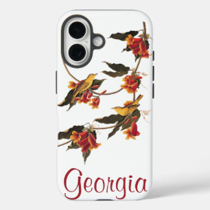 Audubons Rathbone's Warbler Birds auf der Kreuzung iPhone 16 Hülle