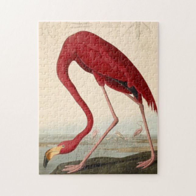 Audubon's Red Flamingo Jigsaw Puzzle (Vertikal)