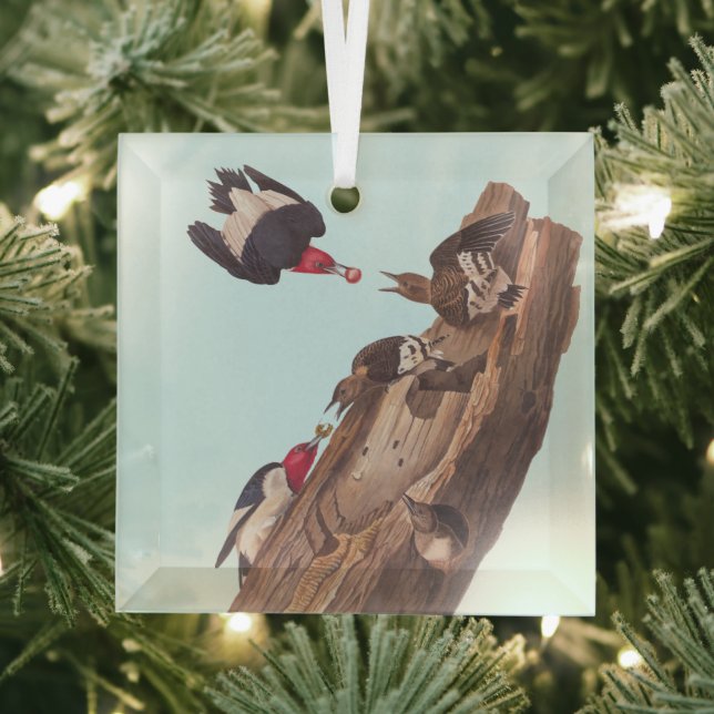 Audubons Red-Headed-Woodpecker-Familie in Log Ornament Aus Glas (Insitu)