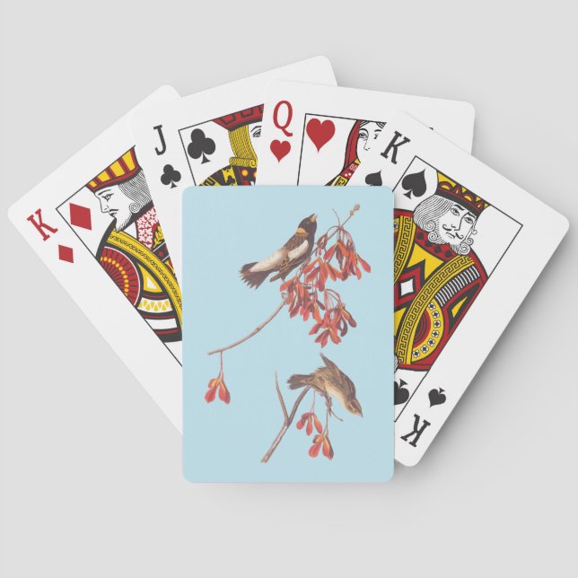 Audubon's Rice Bunting Birds oder Bobolink Birds Spielkarten (Rückseite)