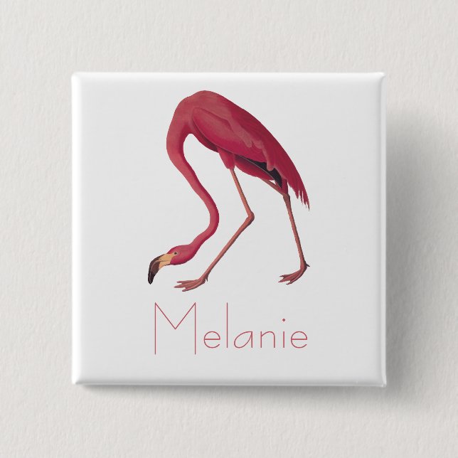 Audubons rosa Flamingo Vintage Vögel Amerikas Button (Vorderseite)