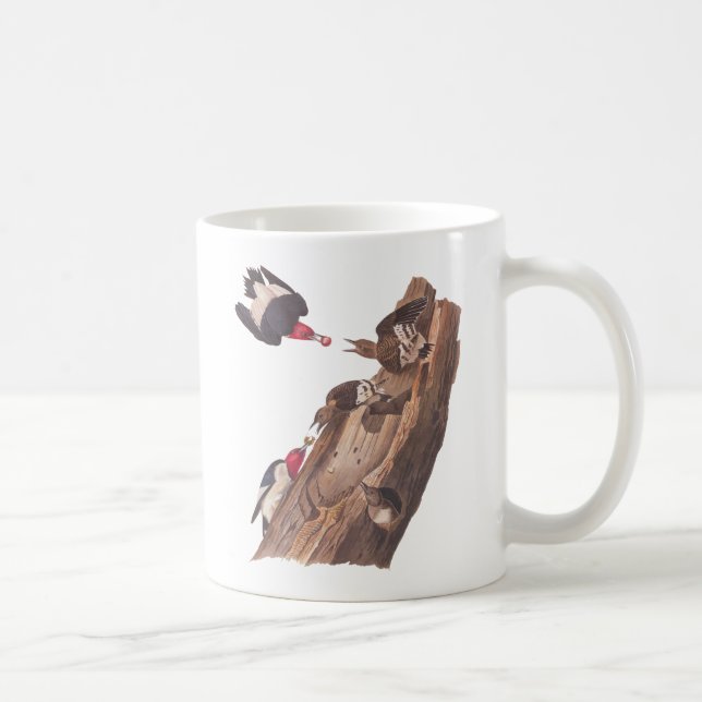 Audubons Rotkopfspechte Kaffeetasse (Rechts)