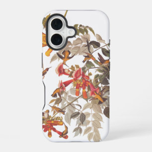Audubons Rubinkehlkolibris und Blumen iPhone 16 Hülle