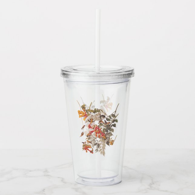 Audubon's Ruby Throated Hummingbirds and Blume Acryltrinkbecher (Vorderseite)