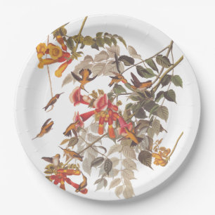 Audubon's Ruby Throated Hummingbirds and Blume Pappteller