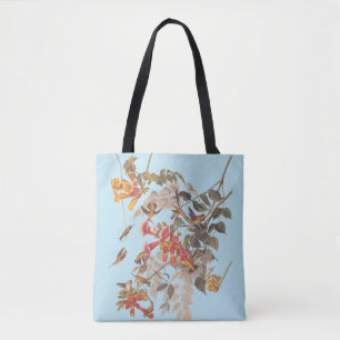 Audubon's Ruby Throated Hummingbirds and Blume Tasche