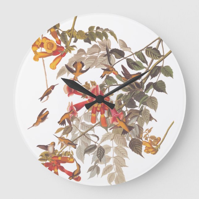 Audubon's Ruby Throated Hummingbirds with Flowers Große Wanduhr (Vorderseite)