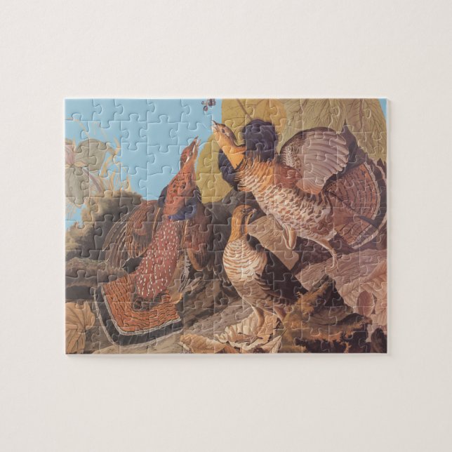 Audubon's Ruffed Grouse Pheasant Birds (Horizontal)