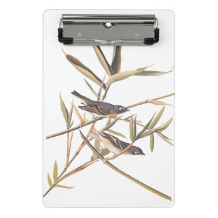 Audubons Solitary Vireo Flycatcher Birds on Cane Mini Klemmbrett