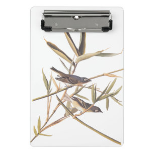 Audubons Solitary Vireo Flycatcher Birds on Cane Mini Klemmbrett