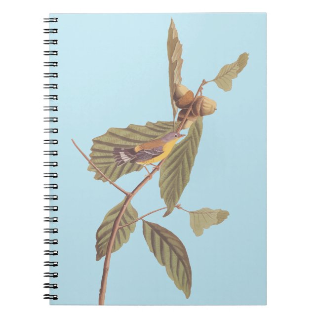 Audubon's Swainson's Warbler an der Oak Branch Notizblock (Vorderseite)