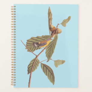 Audubon's Swainson's Warbler an der Oak Branch Planer
