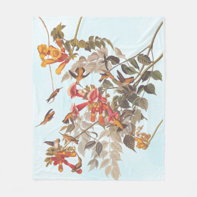 Audubons tropische Ruby-Throated Hummingbirds Fleecedecke (Vorderseite)