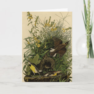 Audubons Vögel in Amerika Karte