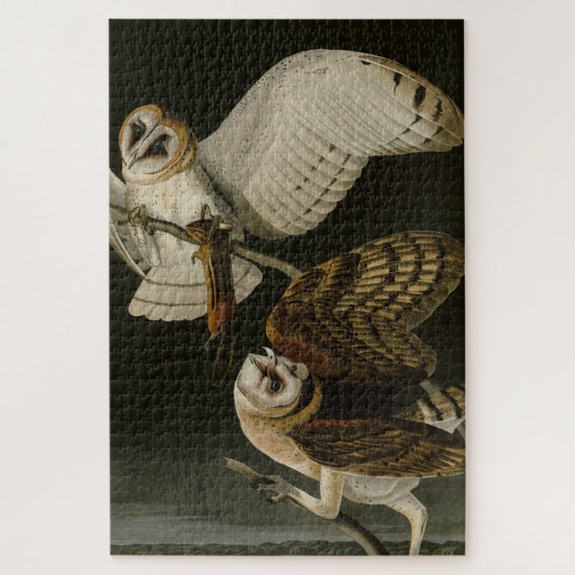 Audubons Vögel von Amerika (Tyto alba) (Vertikal)
