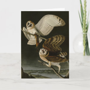 Audubons Vögel von Amerika (Tyto alba) Karte