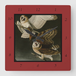 Audubons Vögel von Amerika (Tyto alba) Quadratische Wanduhr