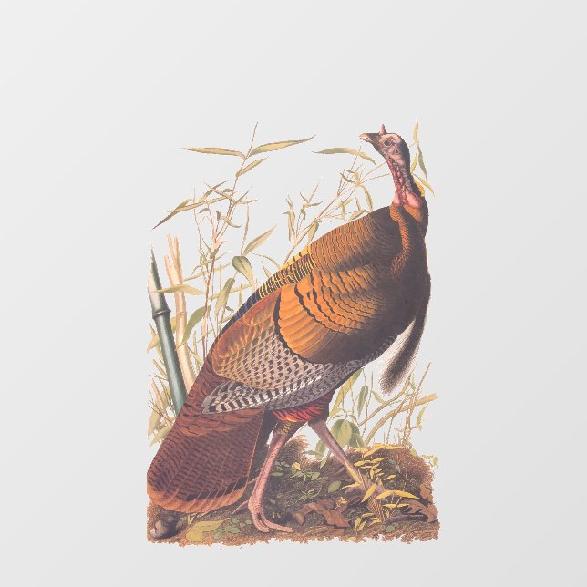 Audubons Vögel von Amerika Wild Türkei Herbstvogel Fensteraufkleber (Blatt)