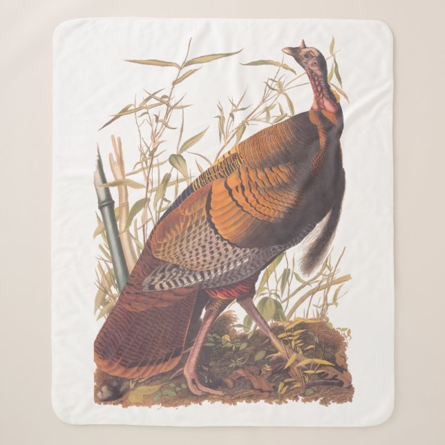 Audubons Vögel von Amerika Wild Türkei Herbstvogel Sherpadecke (Vorderseite)