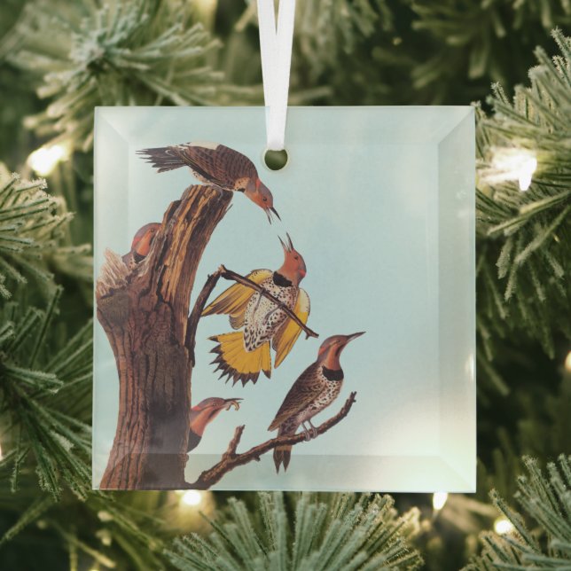 Audubons Vogelfamilie Golden-Winged Woodpecker Ornament Aus Glas (Insitu)