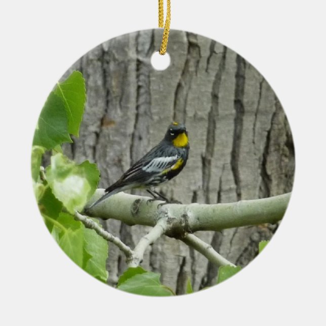 Audubons Warbler-Naturfotografie Keramik Ornament (Vorne)