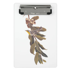 Audubons Yellowthroat-Warbler-Vogel auf Baumzweig Mini Klemmbrett