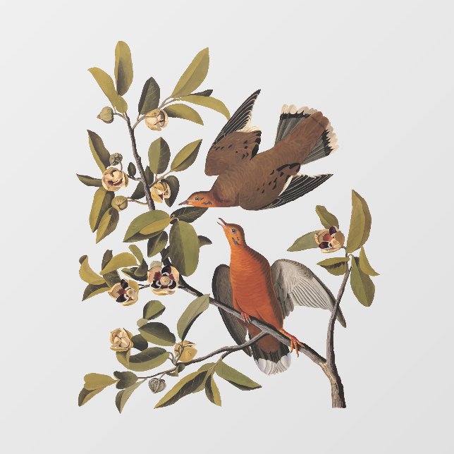 Audubons Zenaida-Taubenvögel auf Baumzweig Fensteraufkleber (Blatt)