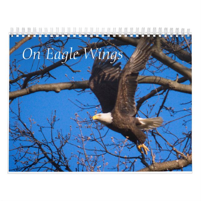 Auf Adlerwings Kalender (Titelbild)