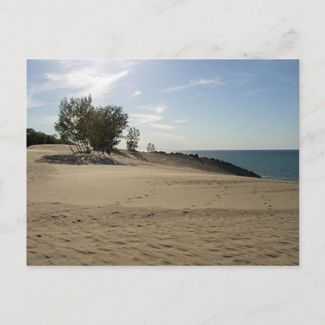 Auf dem Berg Baldy, Indiana Dunes National Park Postkarte (Vorderseite)