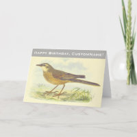 Auf dem Boden Stehender Braunfedervogel