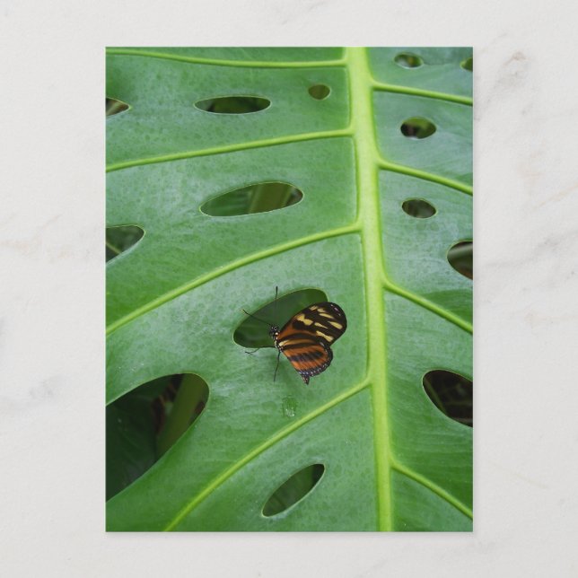 Auf dem Feld Postkarte (Vorderseite)