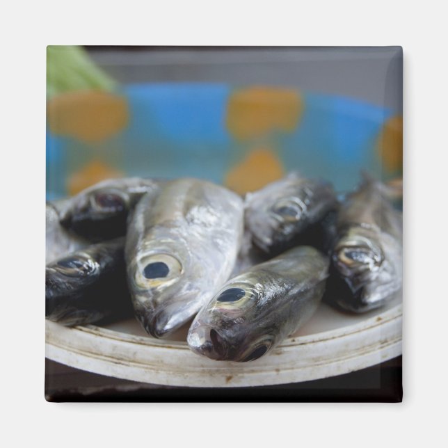 auf dem Fischmarkt Mercado de Peixe) Magnet (Vorne)