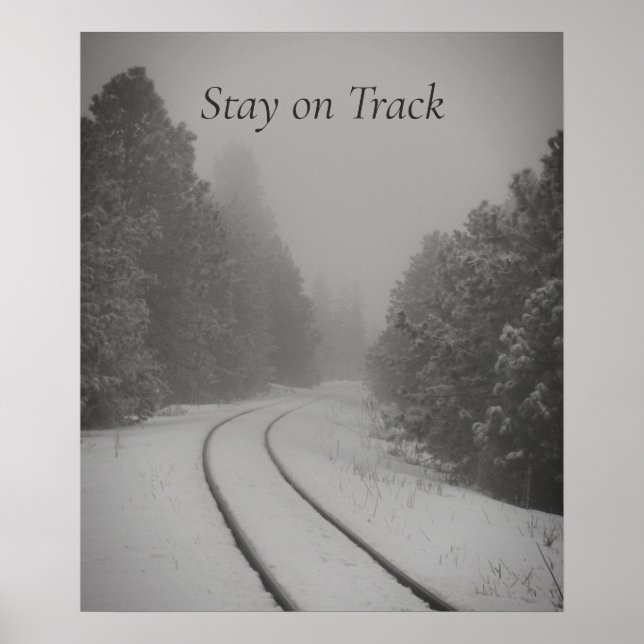 Auf dem Foto "Track Winter Woods Railroad" bleibe Poster (Vorne)