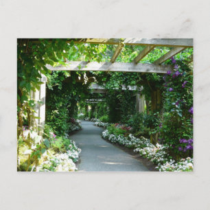 Auf dem Gartenweg Postkarte