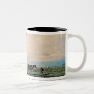 Auf dem Gebiet 1872 Zweifarbige Tasse