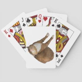 Auf-dem-Kopf-Sonnenschein-Katze Spielkarten
